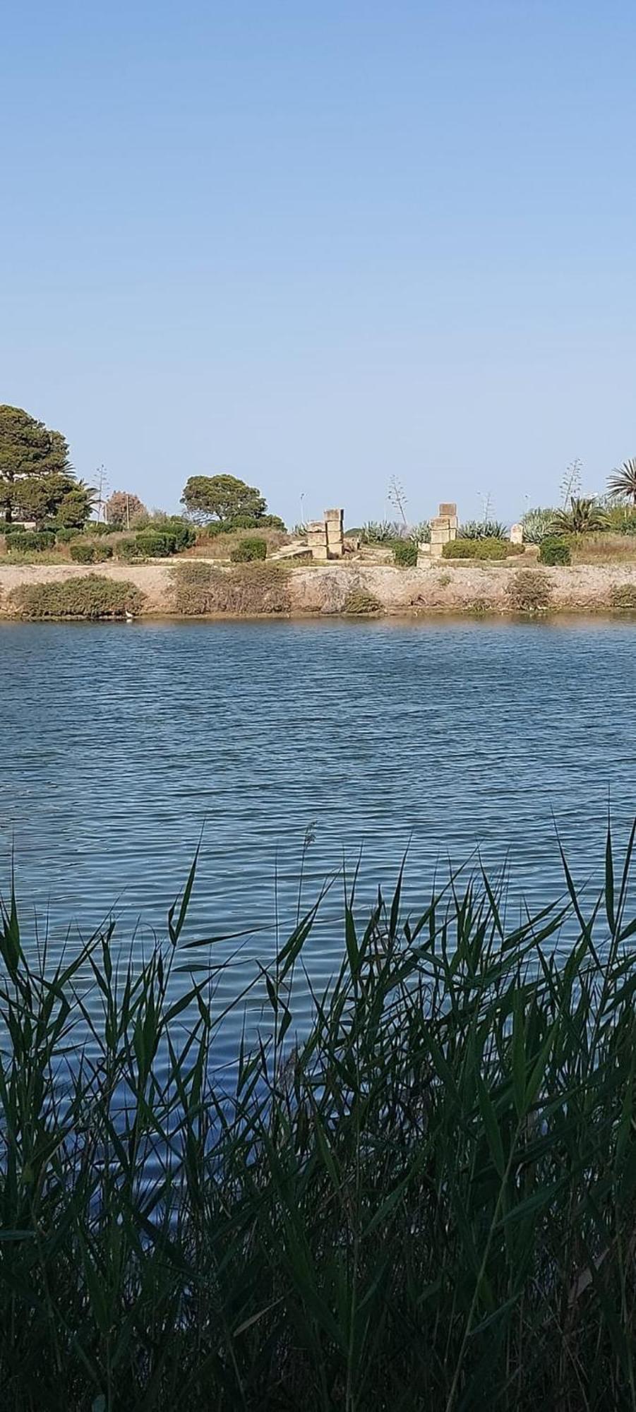 "L'Abri Cotier" Appartement 3 Chambres Haut Standing Port Punique Carthage Douar ech Chott Exterior photo